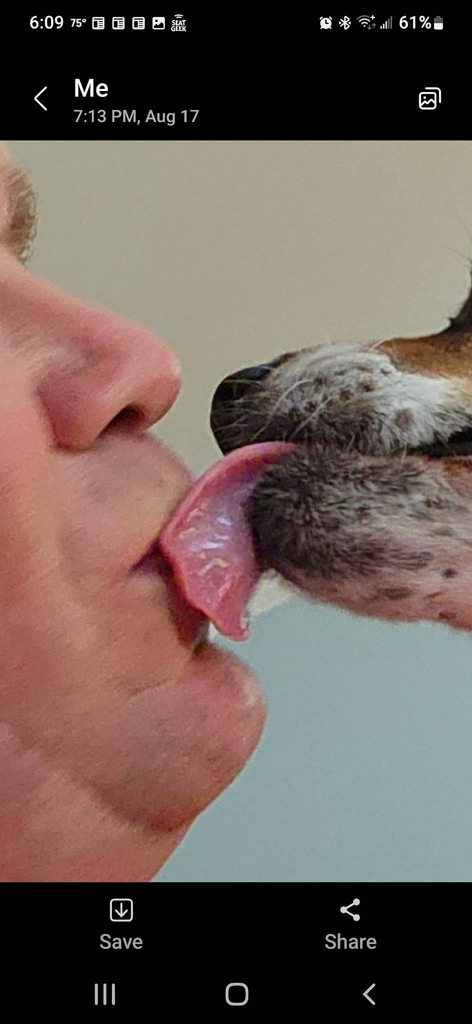 Daisy is registered to the contest to win money with this photo: carnivore, companion_dog, dog, dog_breed, ear, eyelash, finger, flesh, fur, gesture, jaw, liver, nail, paw, skin, sporting_group, throat, thumb, whiskers, wrinkle