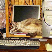 CALINE participe au concours pour gagner de l'argent avec cette photo :