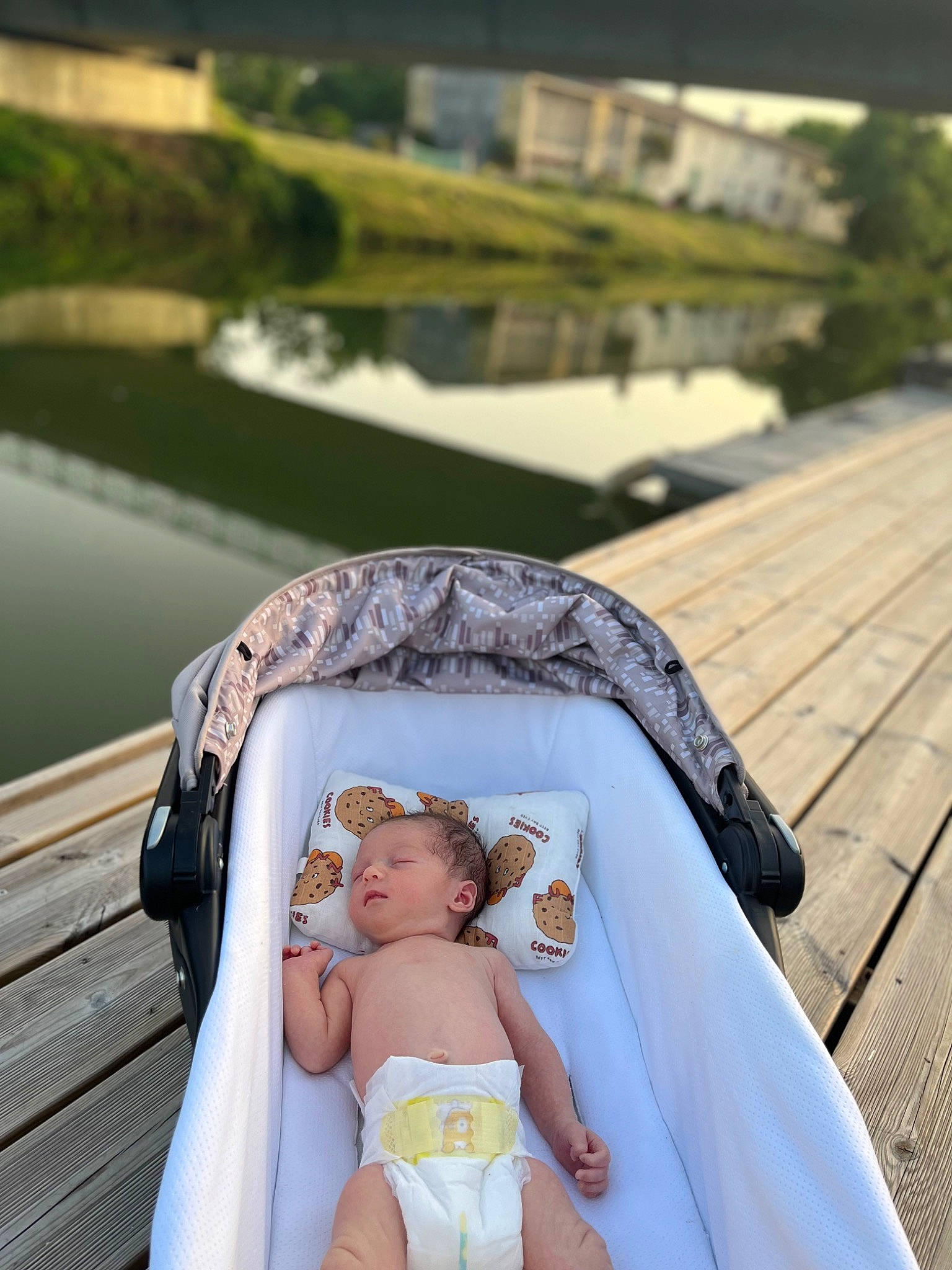 Ezekiel a rejoint le concours — aidez-le/la à gagner de superbes lots ! baby, baby_products, event, fun, grass, hand, happy, head, leisure, outdoor_furniture, people_in_nature, person, plant, recreation, sitting, summer, toddler, travel, tree, vacation