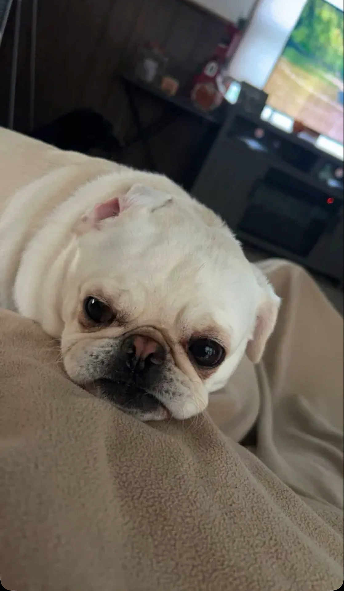 Dakota