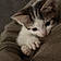 Arlo