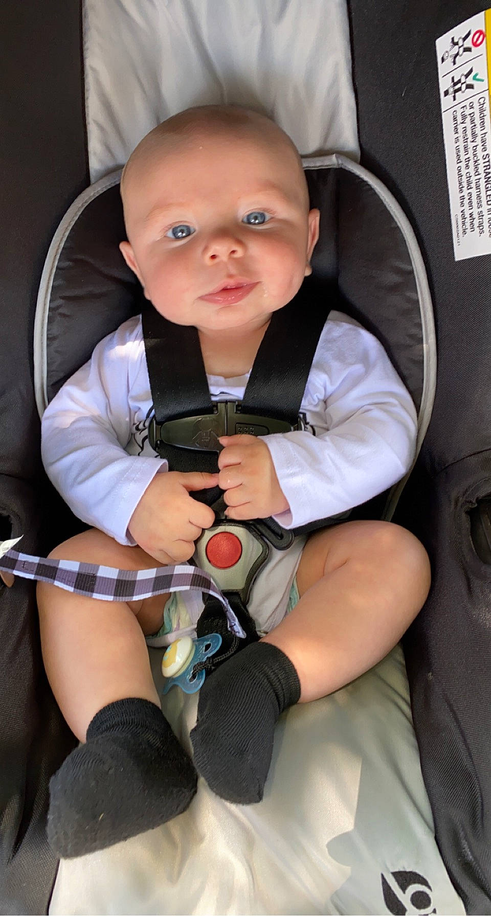 Kylo joined the competition — help win amazing prizes! auto_part, baby, baby_carriage, baby_products, baby_toddler_clothing, car_seat, chair, child, comfort, finger, flash_photography, human_leg, knee, lap, nail, person, seat_belt, sitting, thigh, thumb