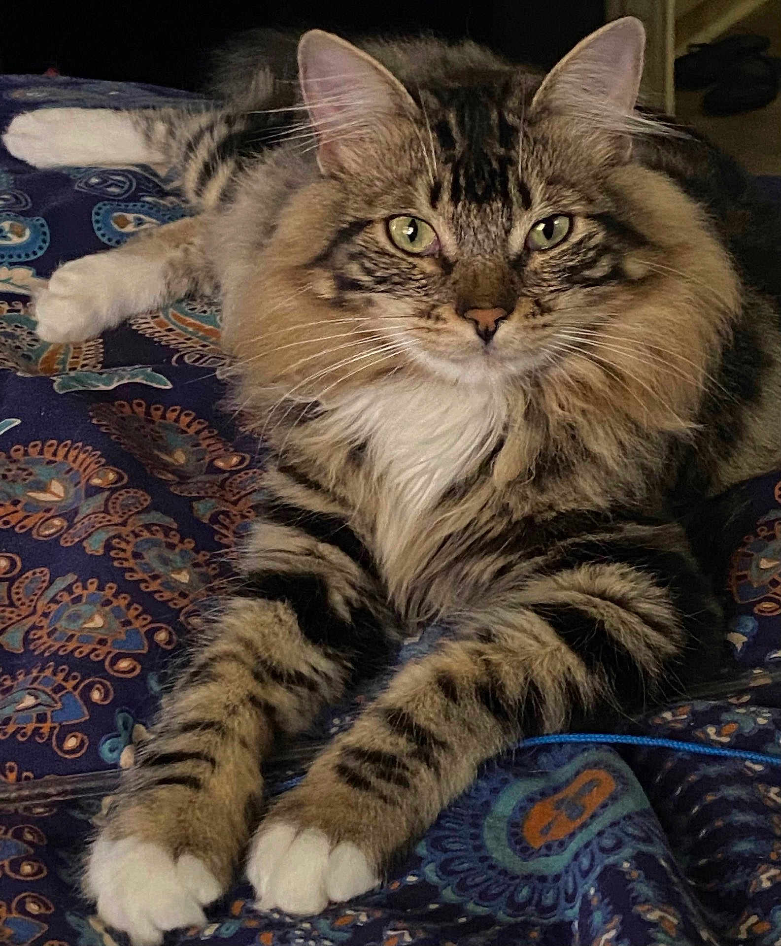 Oscar