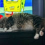 Oscar joined the competition — help win amazing prizes! animation, cartoon, cat, couch, entertainment, feline, fluffy, furry, indoor, living_room, paw, pet, relaxed, resting, screen, sleeping, spongebob, tabby, television, white_paws
