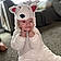 Raelynn