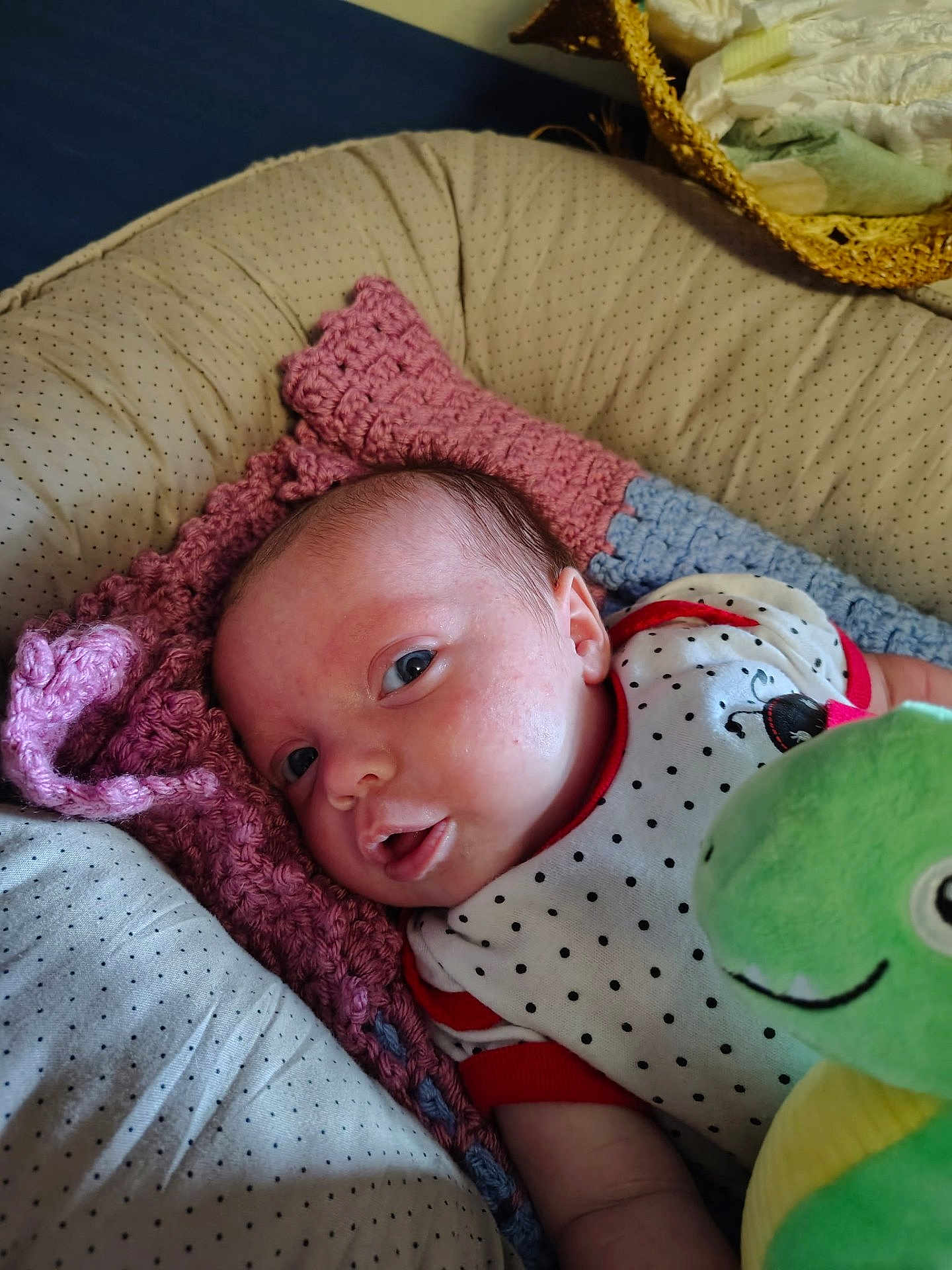 Lilith is registered to the contest to win money with this photo: baby, infant, newborn, blanket, knitted_blanket, pillow, plush_toy, stuffed_animal, onesie, polka_dots, face, eyes, mouth, lying_down, bedding, basket, diaper, cozy, portrait, closeup