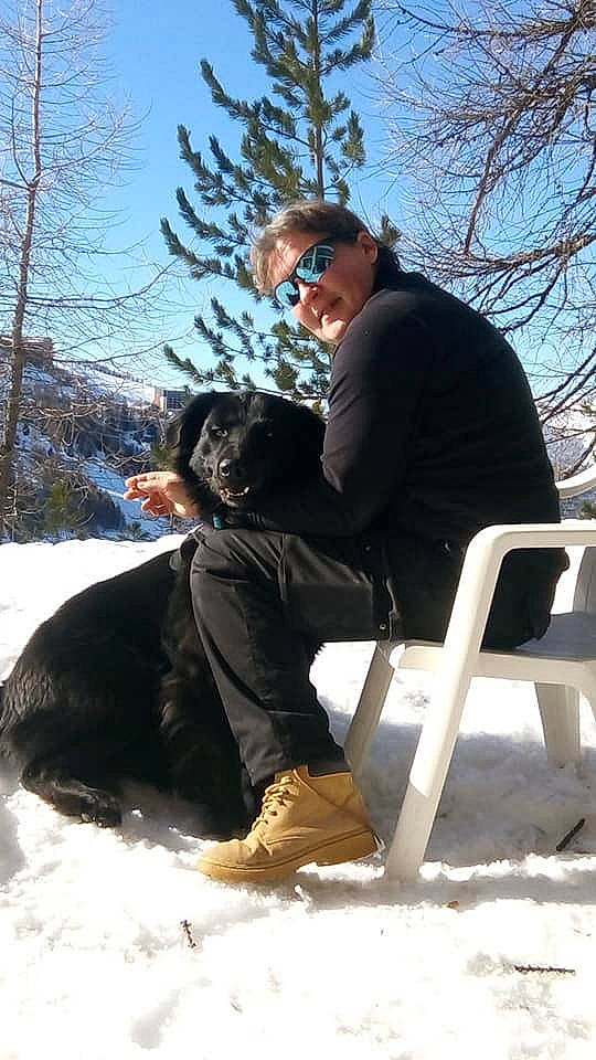 Eros a rejoint le concours — aidez-le/la à gagner de superbes lots ! canidae, carnivore, dog, dog_breed, guard_dog, hovawart, hunting_dog, snow, sporting_group, tree, winter