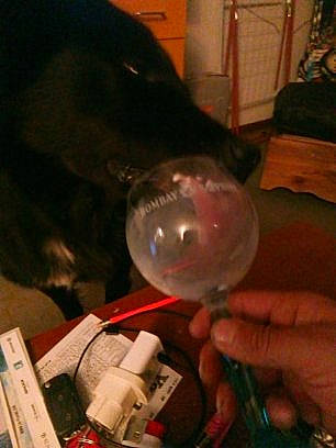 Eros a rejoint le concours — aidez-le/la à gagner de superbes lots ! electronics