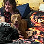 dog, person, bed, bedding, pillow, smile, indoor, happy, long_hair, black_shirt, red_shirt, couch, blanket, face, furniture, room, home, pet, brown_dog, casual