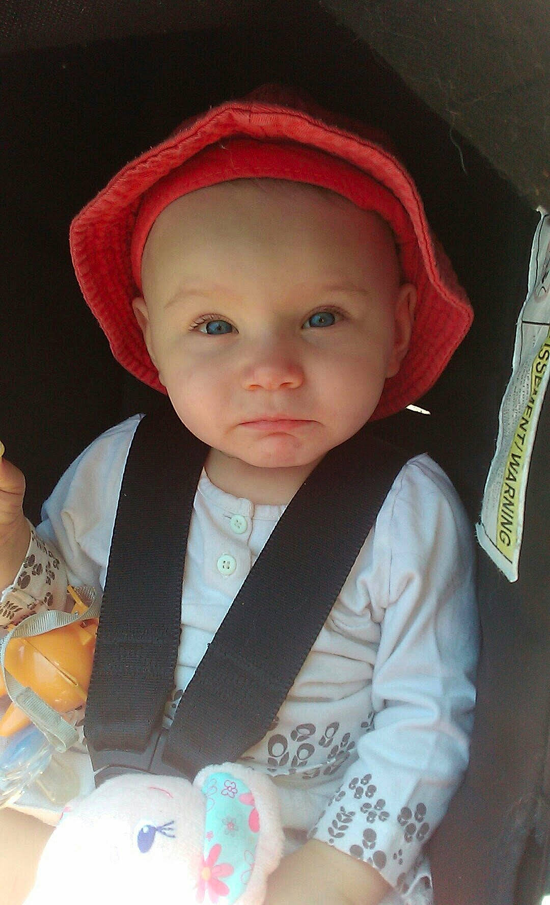 Fiorina participe au concours pour gagner de l'argent avec cette photo : baby, cheek, child, eye, headgear, iris, lip, person, skin, smile, toddler
