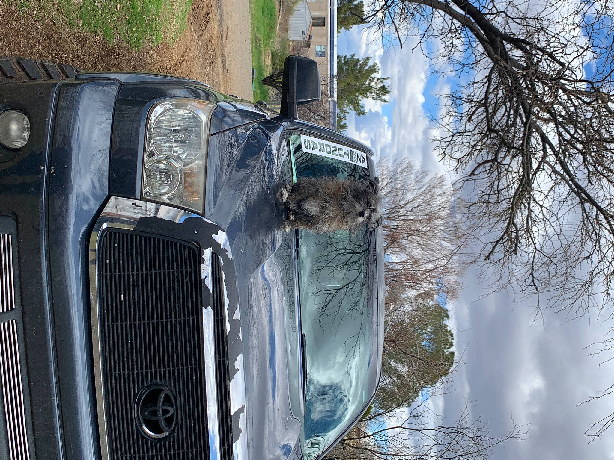 Copper is registered to the contest to win money with this photo: automotive_design, automotive_exterior, automotive_lighting, automotive_parking_light, automotive_tire, automotive_wheel_system, bumper, car, fender, grille, headlamp, hood, mode_of_transport, motor_vehicle, plant, sky, tree, vehicle, vehicle_door, wheel