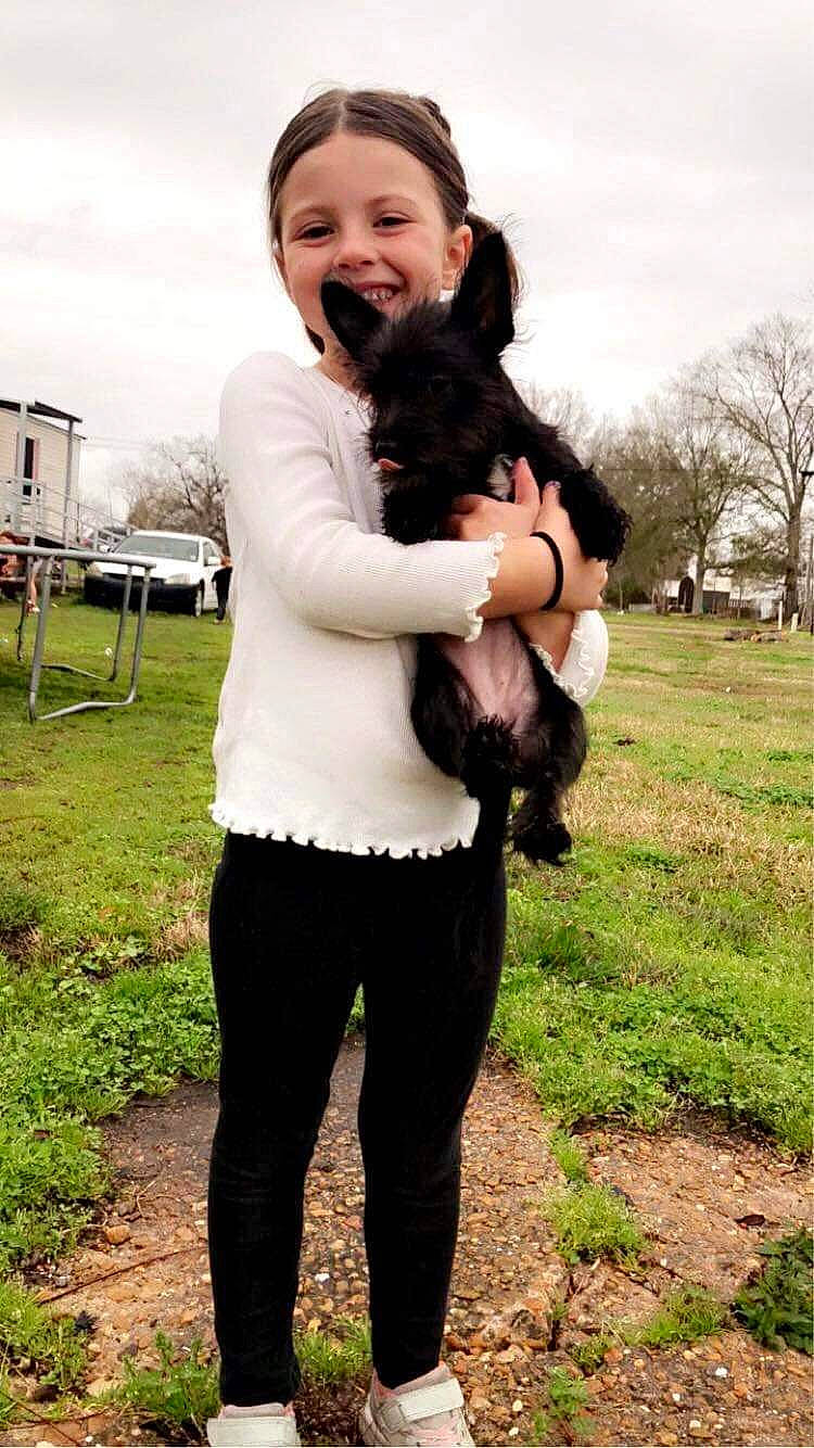 Kinlee joined the competition — help win amazing prizes! black_hair, child, cloud, companion_dog, dog, dog_breed, flash_photography, fun, fur, gesture, grass, happy, joy, people_in_nature, person, plant, sky, smile, thigh, tree