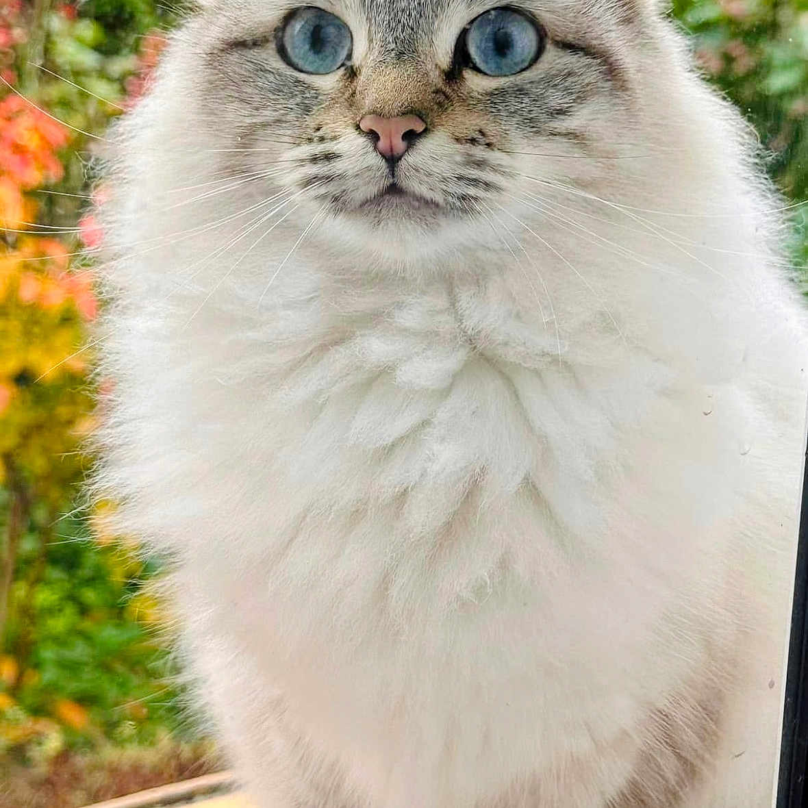 Tuki