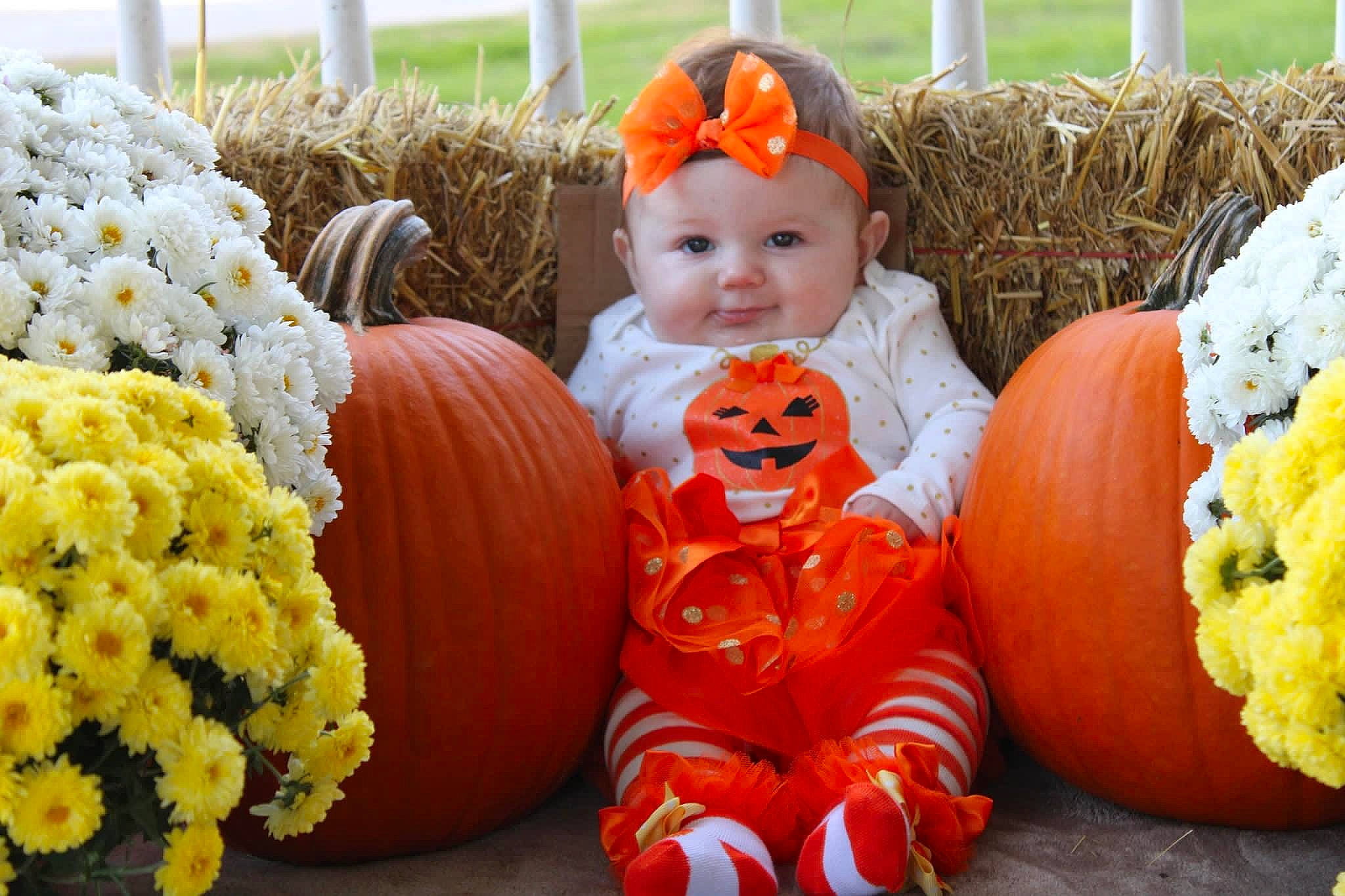 Lakelynn is registered to the contest to win money with this photo: calabaza, cucurbita, eye, facial_expression, gourd, grass, green, happy, head, headwear, leaf, natural_foods, orange, organ, person, photograph, plant, pumpkin, smile, squash