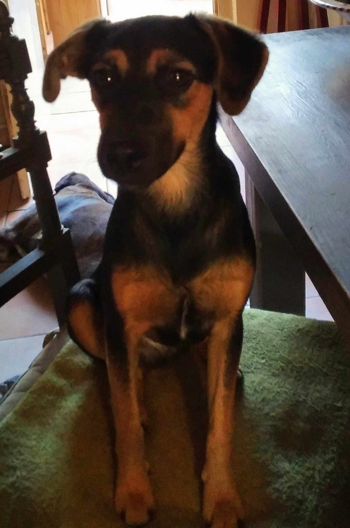 Oscar
