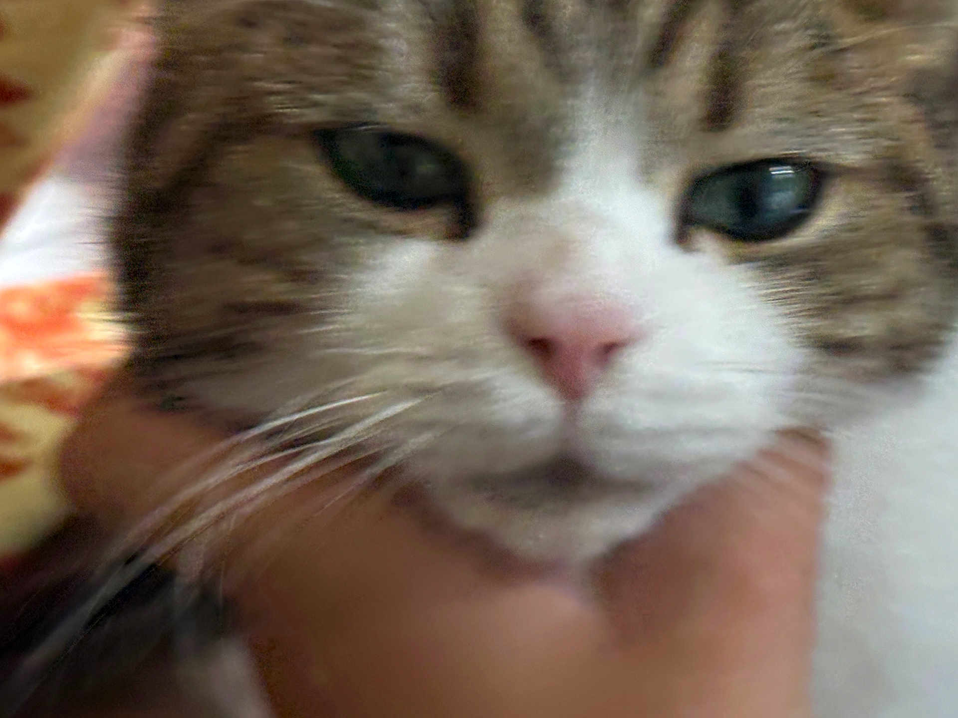 Archie