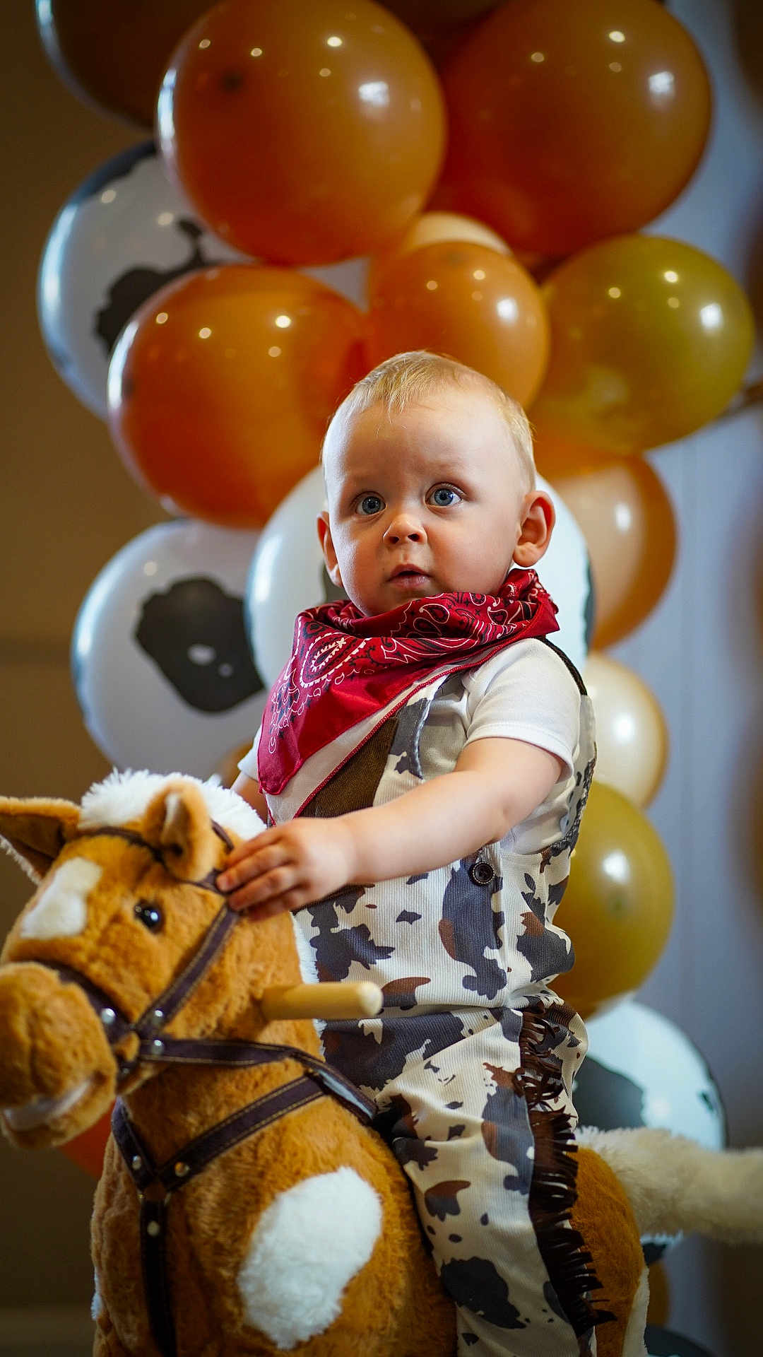 Dexter is registered to the contest to win money with this photo: child, toddler, toy_horse, plush_toy, balloons, cowboy_outfit, bandana, indoor, party, celebration, cute, portrait, young_child, costume, festive, playful, person, face, blue_eyes, light