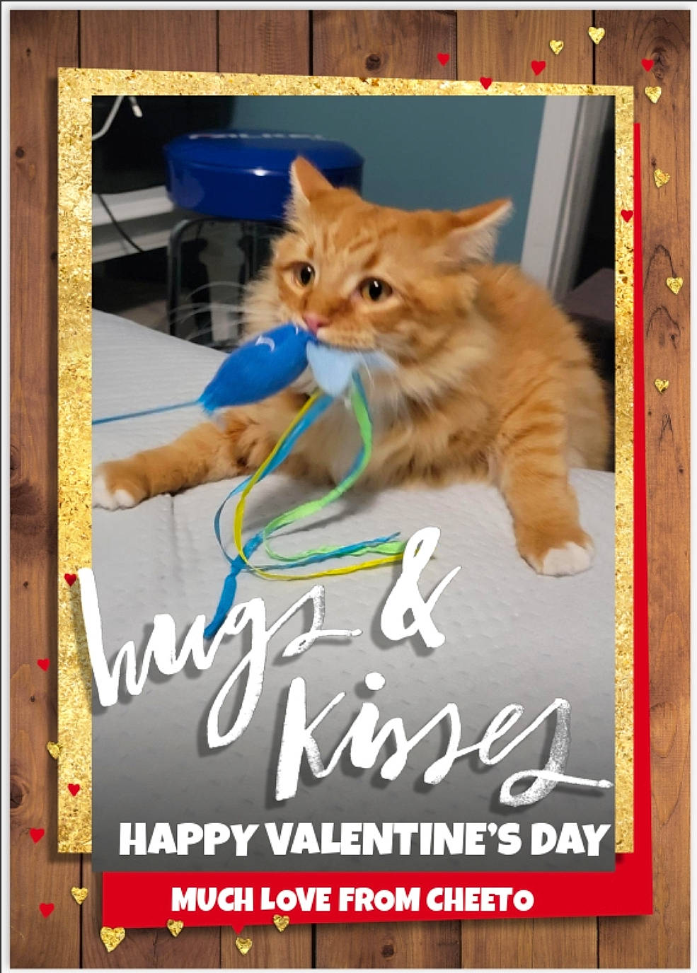 Cheeto is registered to the contest to win money with this photo: advertising, art, carnivore, cat, cat_supply, fawn, felidae, font, graphics, illustration, paw, pet_supply, photo_caption, poster, product, publication, rectangle, small_to_medium_sized_cats, tail, whiskers