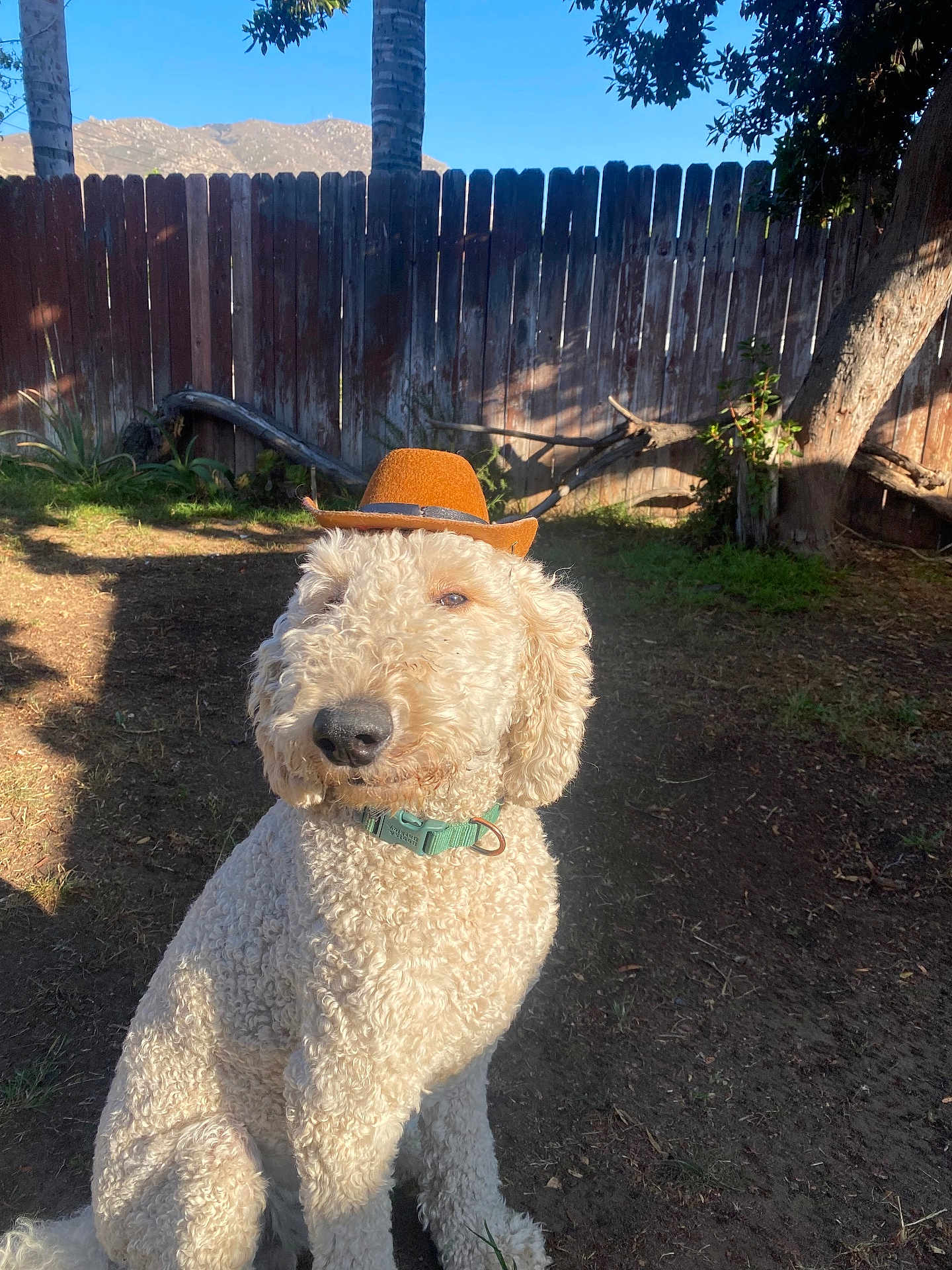 Pete