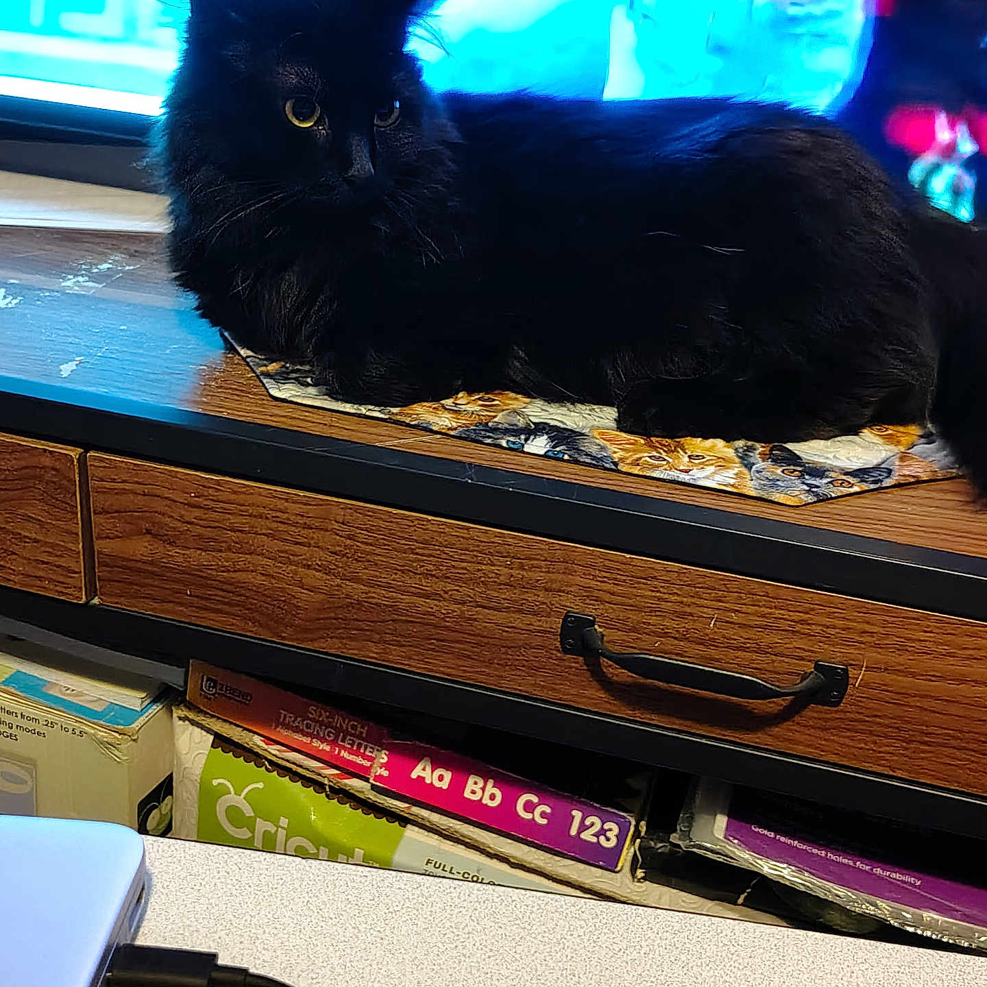 Lilly