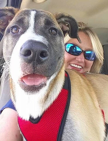 Cypress joined the competition — help win amazing prizes! carnivore, companion_dog, cool, dog, dog_breed, event, eyewear, fawn, fun, fur, giant_dog_breed, glasses, goggles, happy, leisure, selfie, smile, snout, sunglasses, vision_care