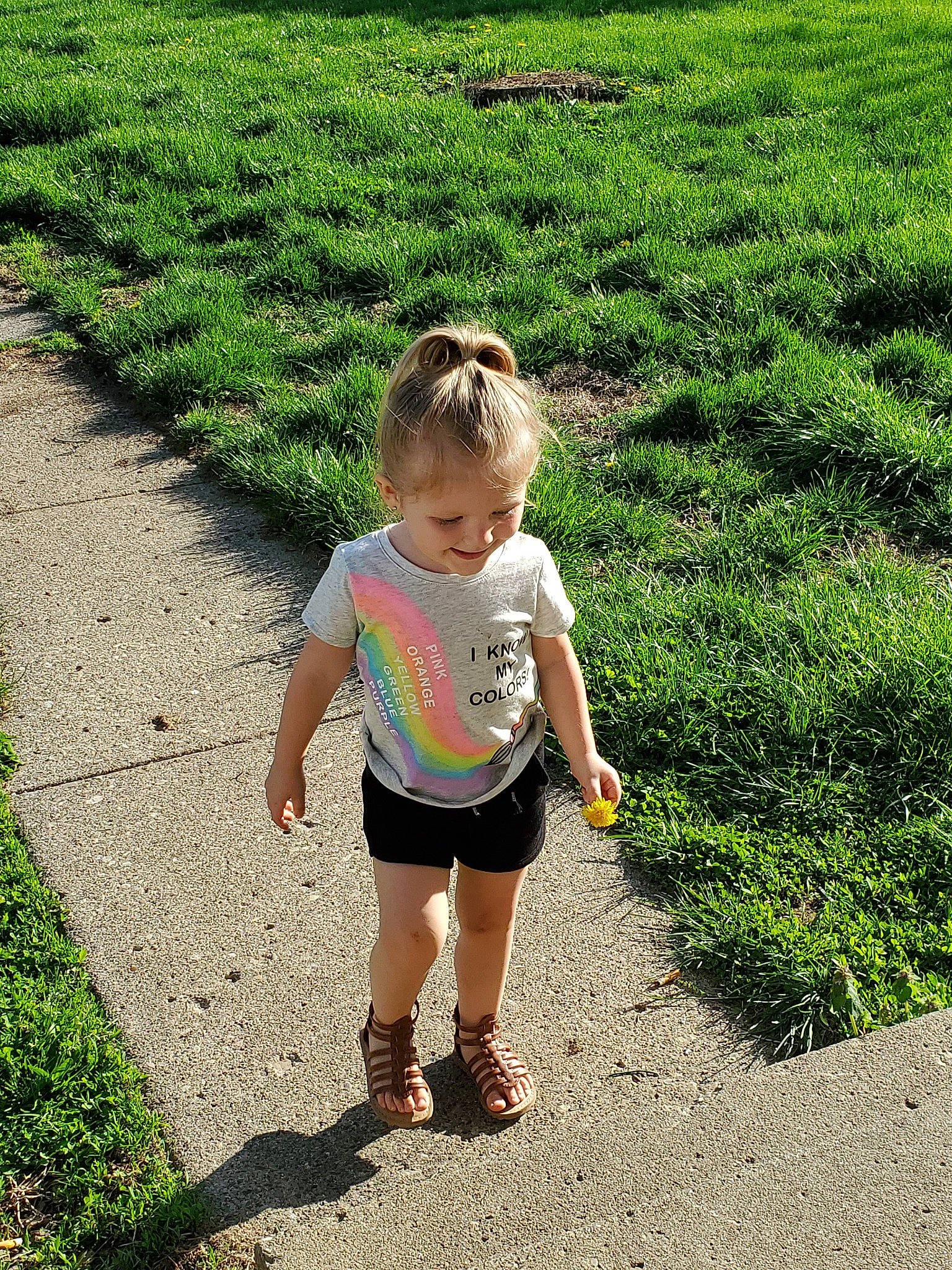 Bexley joined the competition — help win amazing prizes! child, flower, fun, grass, grass_family, green, joy, leaf, leisure, meadow, person, plant, play, recreation, shadow, shrub, soil, summer, toddler, tree