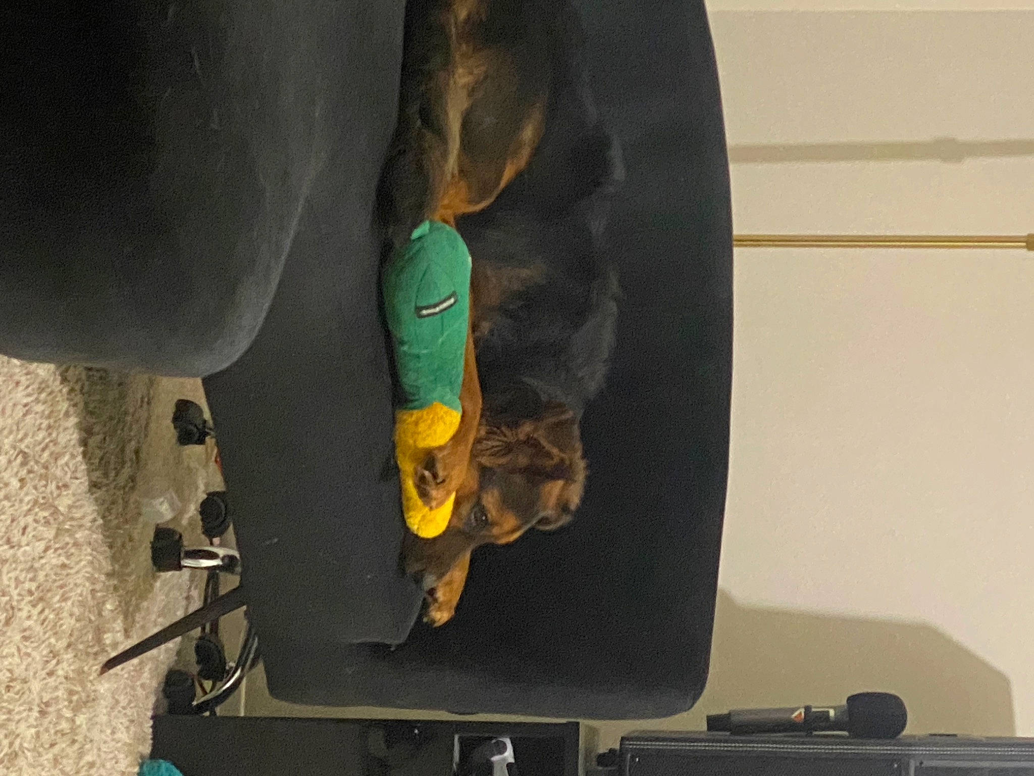 Zuko joined the competition — help win amazing prizes! ankle, art, automotive_tire, boot, carmine, foot, gas, glove, helmet, human_leg, machine, outdoor_shoe, personal_protective_equipment, room, sandal, soil, synthetic_rubber, visual_arts, wood