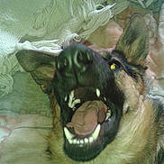 Iona a rejoint le concours — aidez-le/la à gagner de superbes lots !