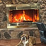 Tank joined the competition — help win amazing prizes! animal, bulldog, comfort, cozy, dog, fire, fireplace, flames, home_interior, house, indoor, leather_chair, living_room, mammal, pet, relaxing, resting, stone_wall, warm, wooden_floor