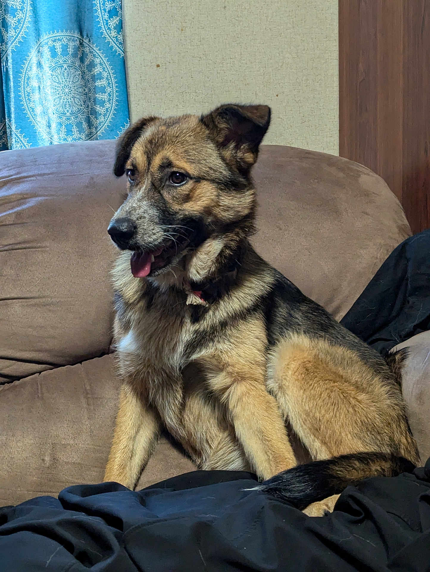 Bella