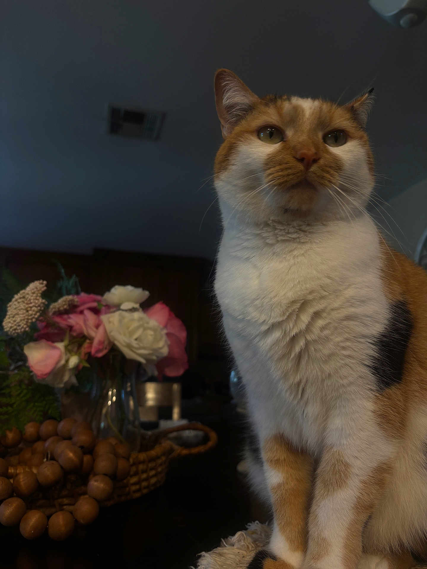 Cheeto is registered to the contest to win money with this photo: cat, calico_cat, indoor, flowers, vase, wooden_beads, basket, table, furniture, domestic_animal, pet, fur, whiskers, ears, closeup, portrait, decor, homedecor, plant, still_life