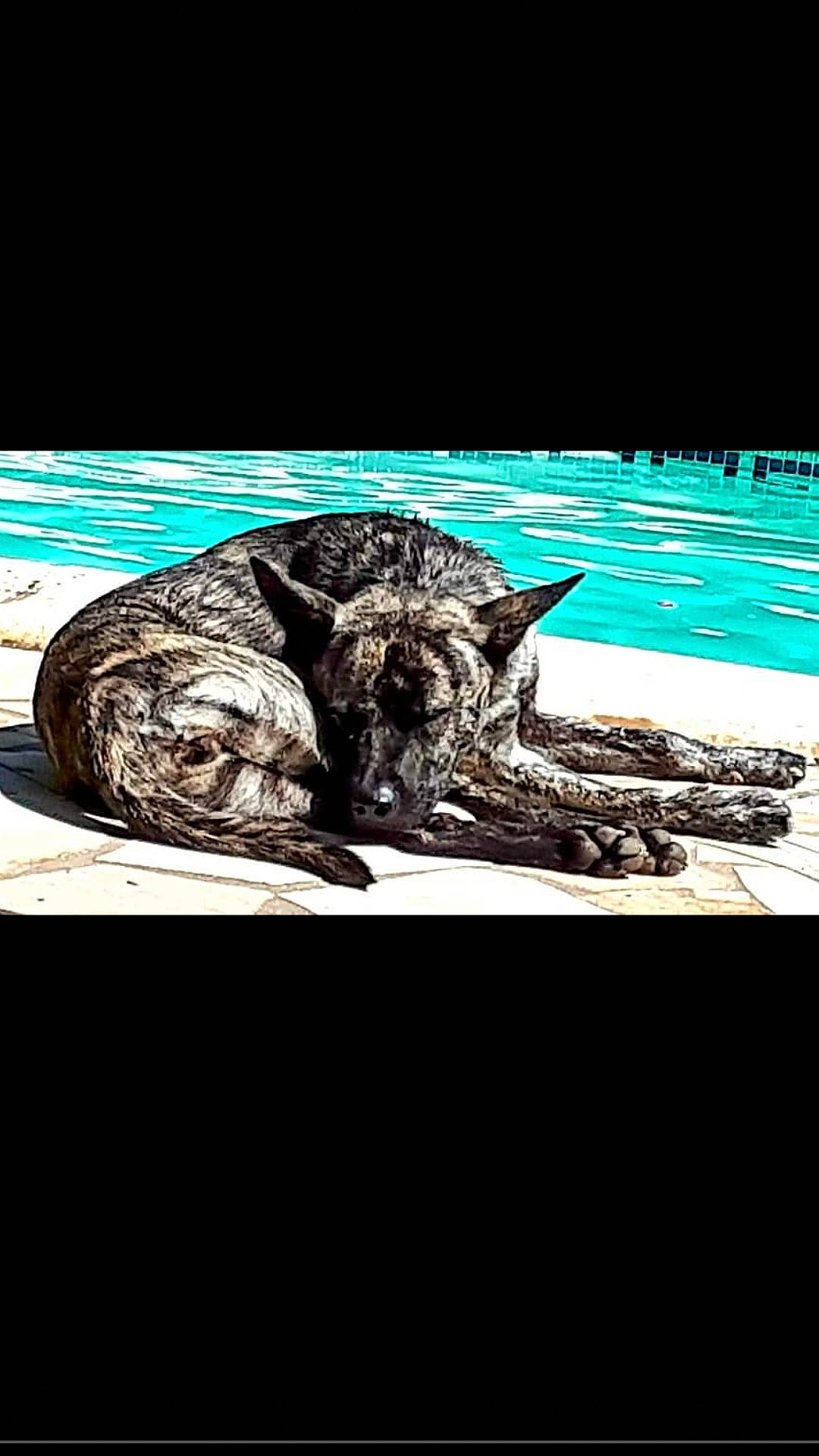 Olly a rejoint le concours — aidez-le/la à gagner de superbes lots ! art, illustration, stock_photography, tree, water