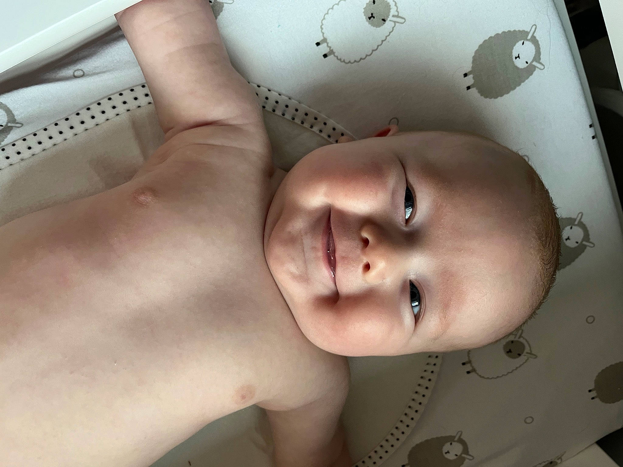 Knox joined the competition — help win amazing prizes! abdomen, art, baby, cheek, chest, child, comfort, eyebrow, eyelash, flash_photography, happy, iris, joy, lip, mouth, neck, nose, person, skin, smile