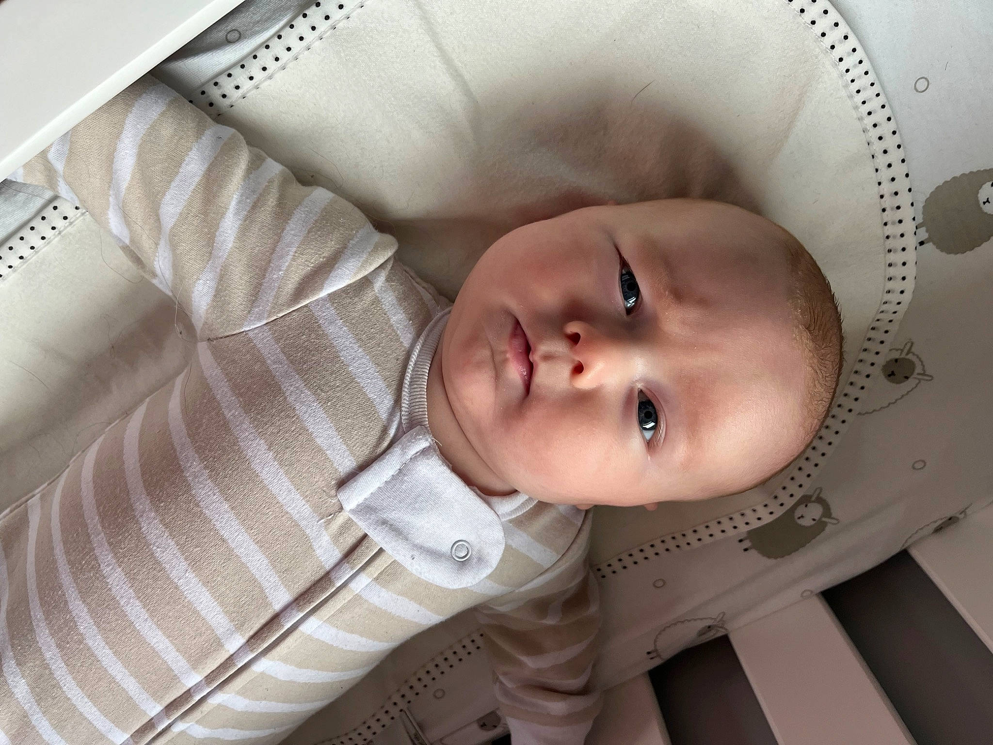 Knox joined the competition — help win amazing prizes! baby, baby_products, baby_toddler_clothing, cheek, child, comfort, eyebrow, eyelash, fashion_accessory, flash_photography, head, iris, lip, mouth, nose, person, room, skin, sleeve, smile