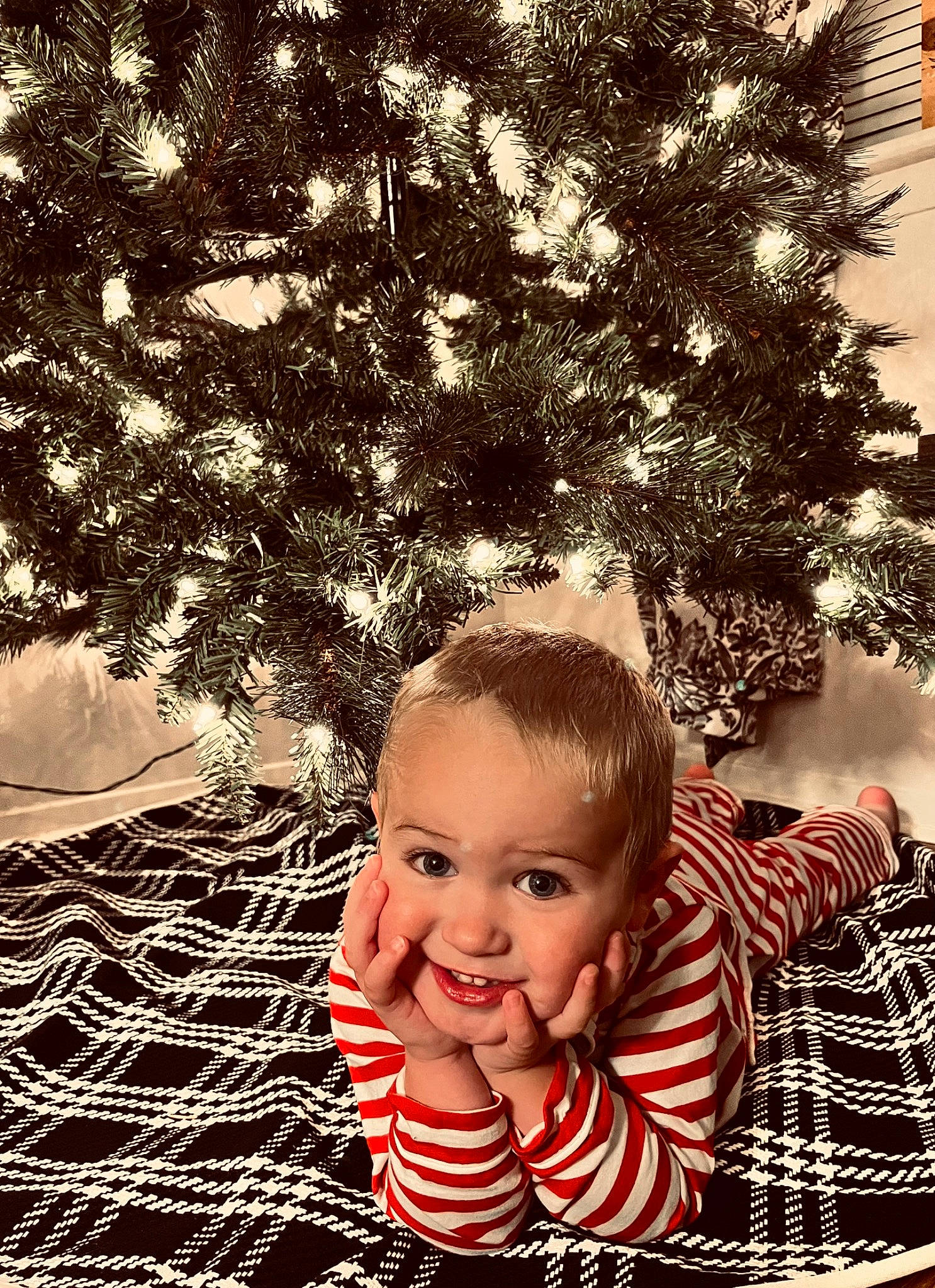 Axl is registered to the contest to win money with this photo: baby, baby_toddler_clothing, christmas_decoration, christmas_tree, event, eye, flash_photography, fun, grass, happy, head, holiday, pattern, people_in_nature, person, plant, smile, tints_and_shades, toddler, tree