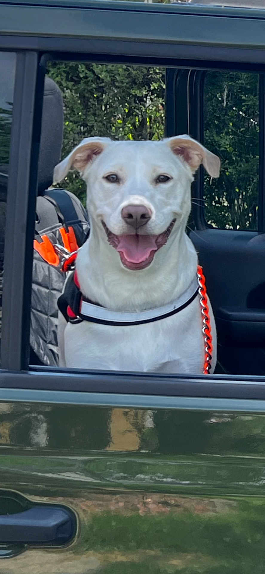 Ryder