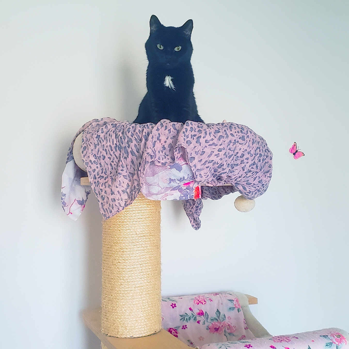 Miminou
