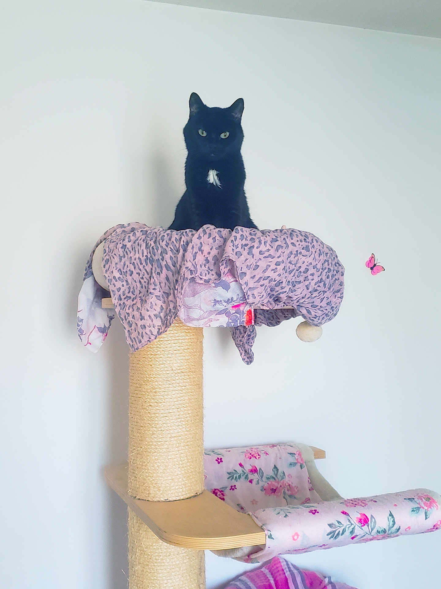 Miminou