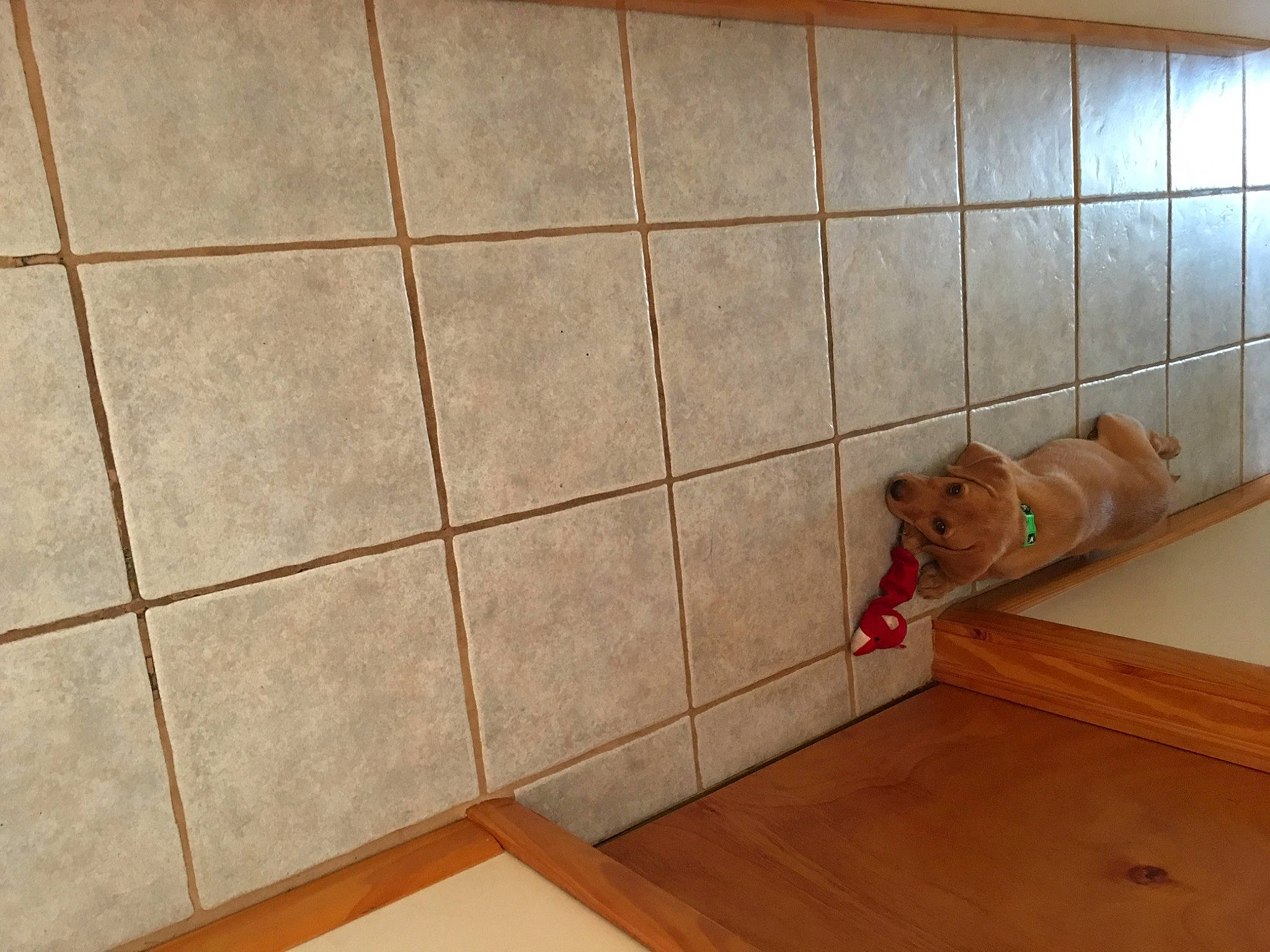 Winnie The Pooh is registered to the contest to win money with this photo: ceiling, composite_material, concrete, daylighting, floor, flooring, glass, hardwood, laminate_flooring, pattern, plank, plywood, rectangle, room, tile, tile_flooring, varnish, wood, wood_flooring, wood_stain