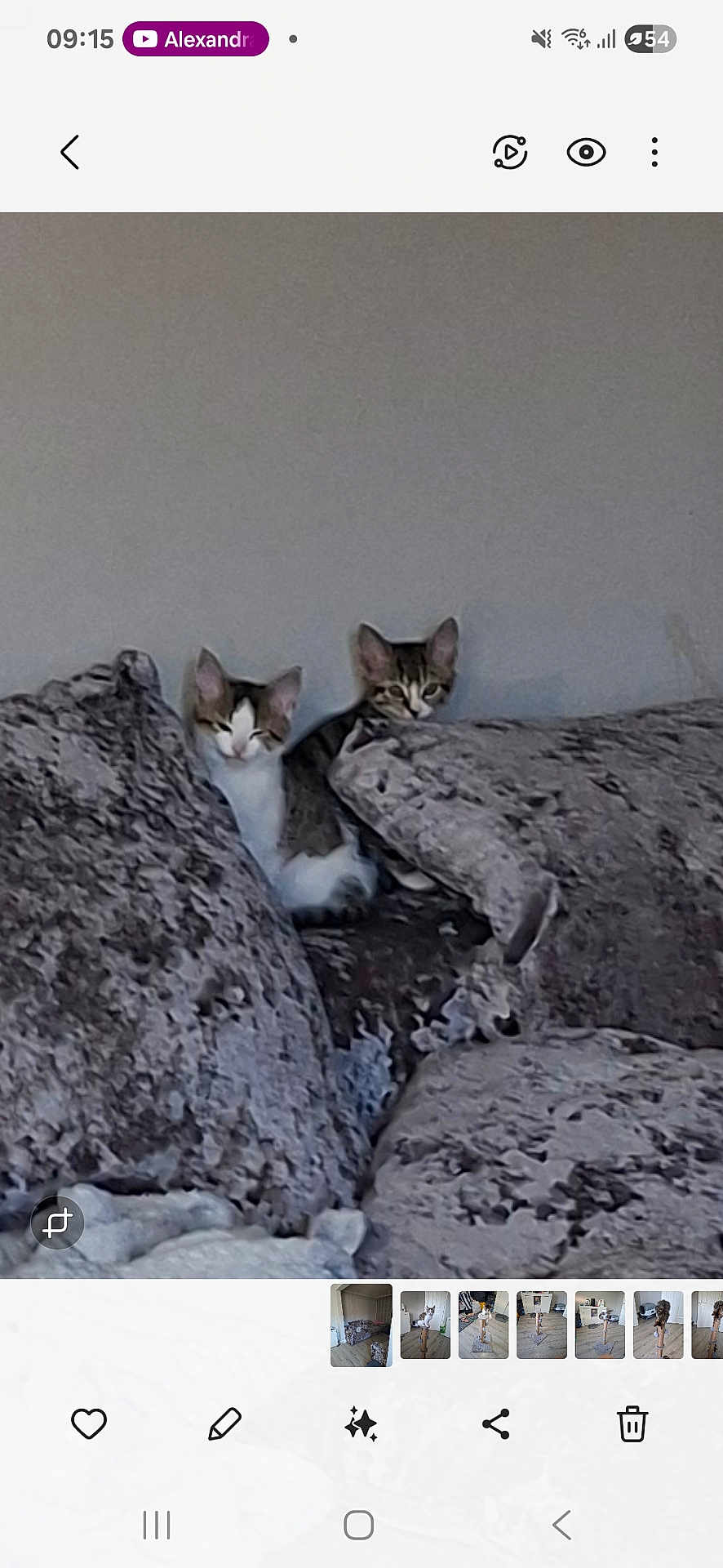 Shadow And Princess