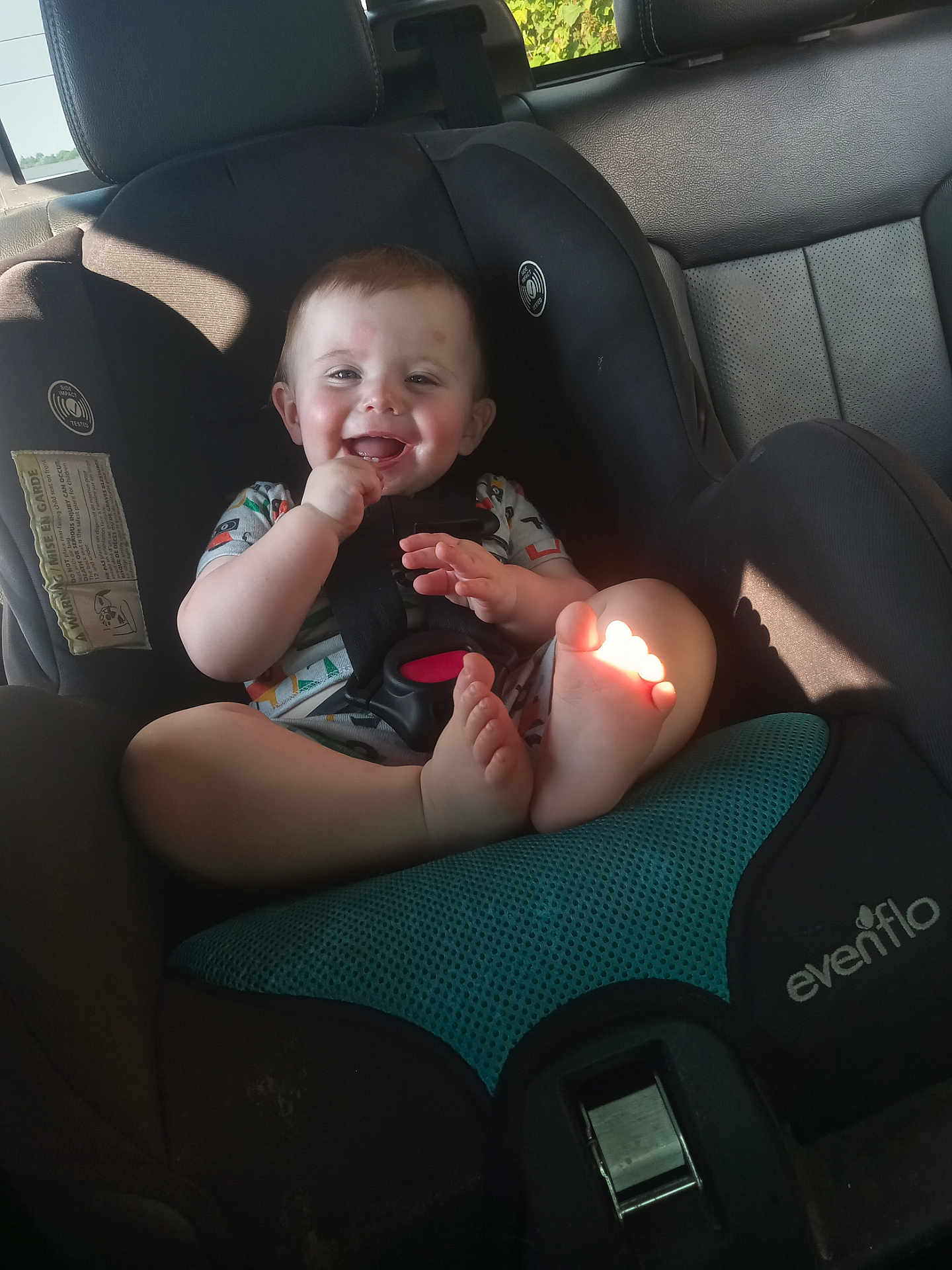 Algan joined the competition — help win amazing prizes! baby, car_seat, child, smiling, happy, infant, seatbelt, foot, sunlight, vehicle_interior, clothing, head, cute, sitting, playful, safety, evenflo, seat, portrait, daylight