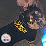 dog, pet_clothing, pittsburgh_steelers, black_dog, indoor, child, carpet, person, portrait, flash_glare, animal, cute, pet, clothing, smiling, closeup, eyes, tshirt, playing, fun