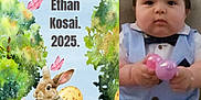 Ethan joined the competition — help win amazing prizes! accessories, animal, baby, face, flower, formalwear, grass, head, herbal, herbs, outdoors, people, person, photography, plant, portrait, purple, rabbit, tie, vegetation