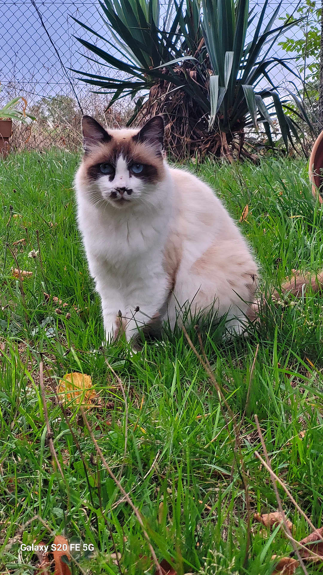 Bandit