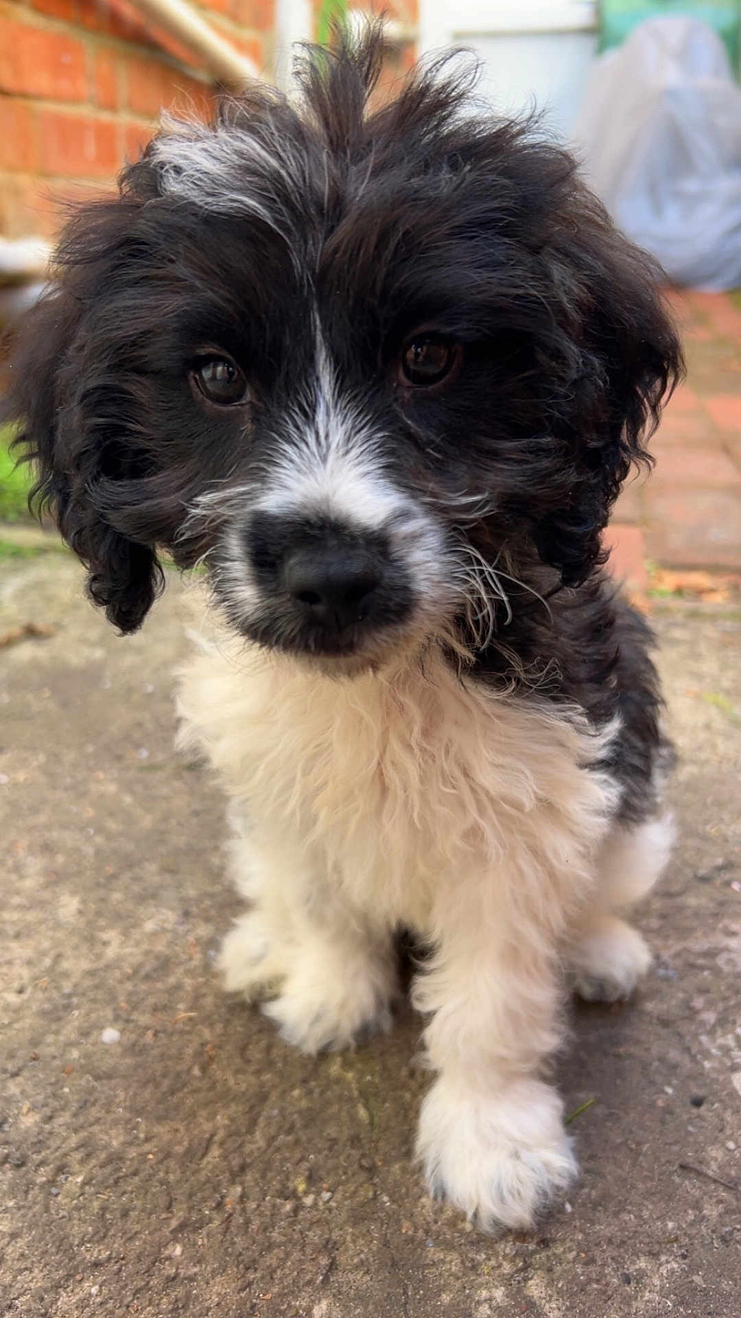 Winnie