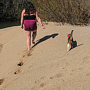 Satonne participe au concours pour gagner de l'argent avec cette photo : person, cat, sand, footprints, nature, outdoor, walking, bushes, barefoot, collar, sunlight, summer, animal, pet, back_view, path, daytime, casual, relaxation, adventure