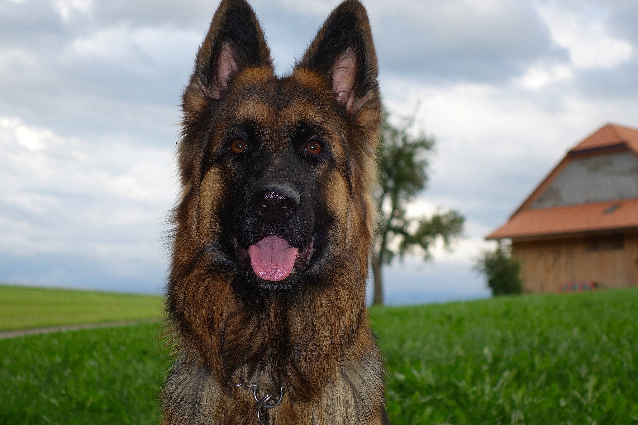 Maât Du Soleil La Mer