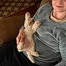 brown_couch, carpet, casual_clothing, comfort, couch, curly_fur, dog, fluffy_dog, fur, hand, home, indoor, paw, person, pet, relaxing, remote_control, resting, smile, sweater