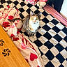 bed, black, blanket, calico_cat, cat, checkered_pattern, cozy, curious, furniture, heart_pattern, home, indoor, knit_blanket, pet, pink, plush_toy, red, table, white, wood