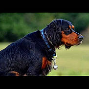 Icare participe au concours pour gagner de l'argent avec cette photo :